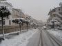 neve (43)